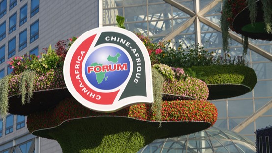 Travailler ensemble à promouvoir la modernisation et à construire une communauté d'avenir partagé